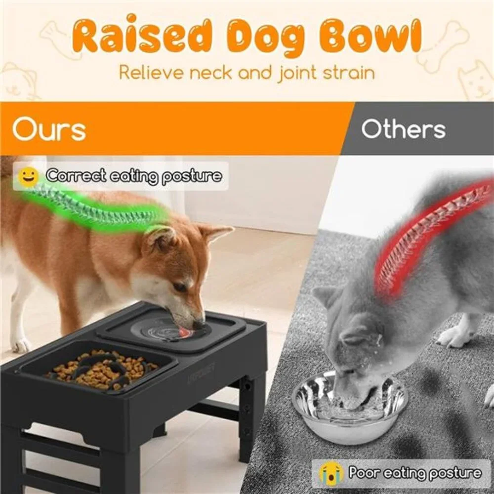 2-in-1 Elevated Slow Feeder Dog Bowls with No Spill Dog Water Bowl 4